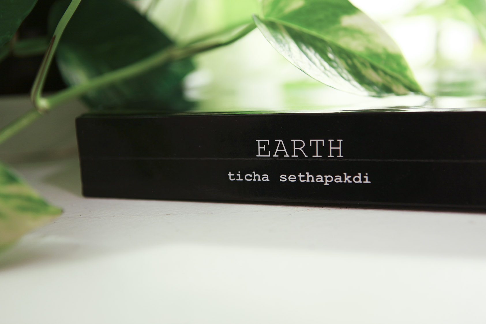 earthside.jpg