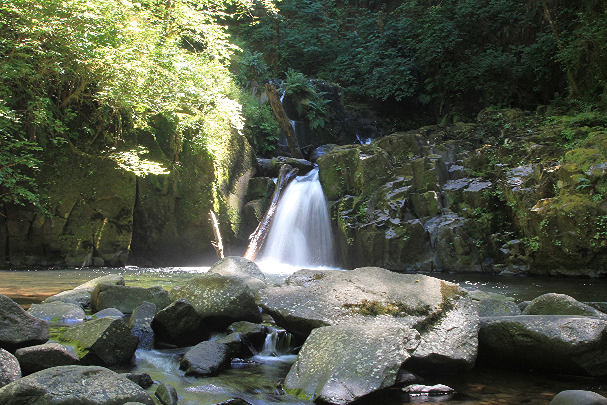 Sweet Creek Falls, Oregon, USA
