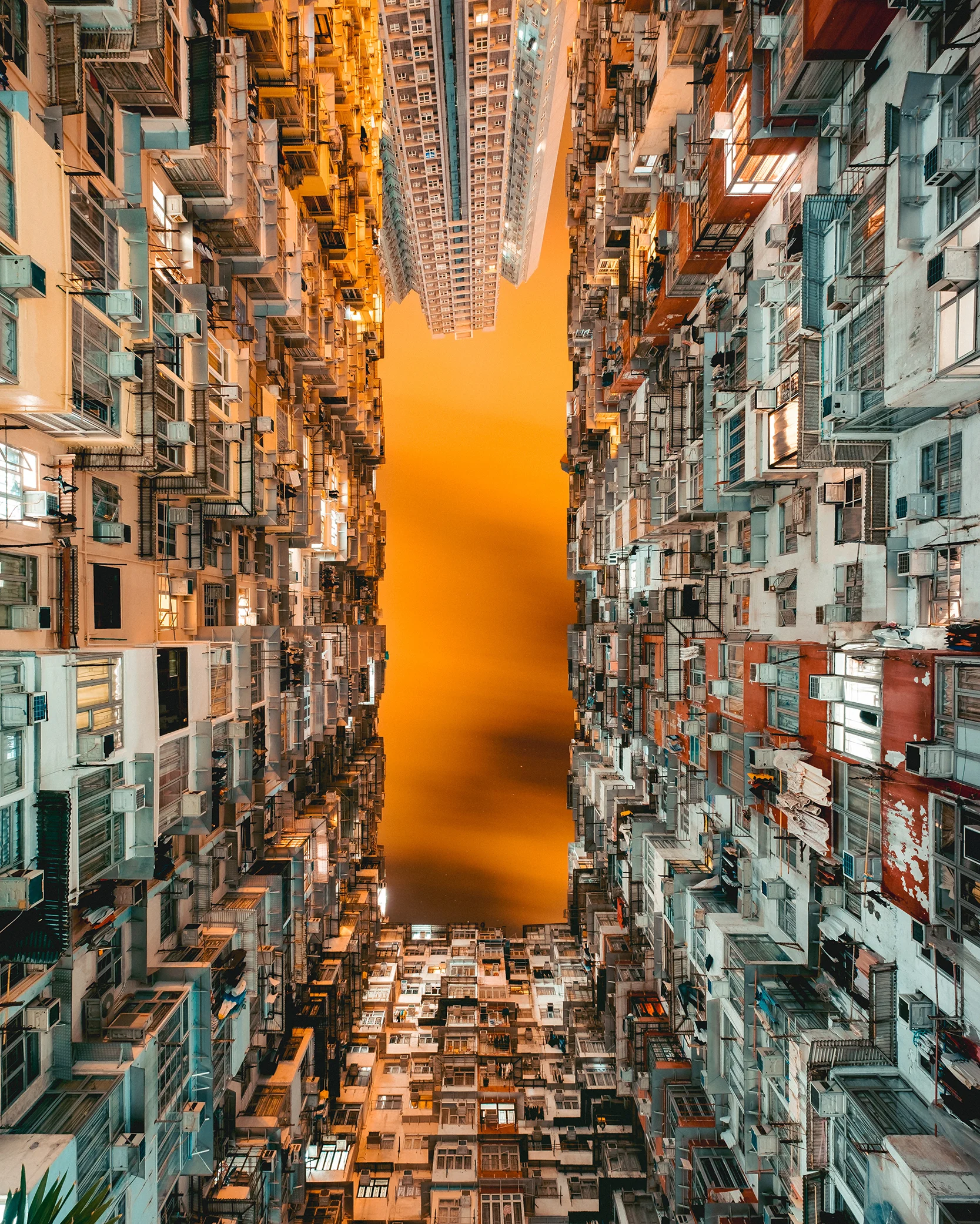 _DSF5214-2.jpg