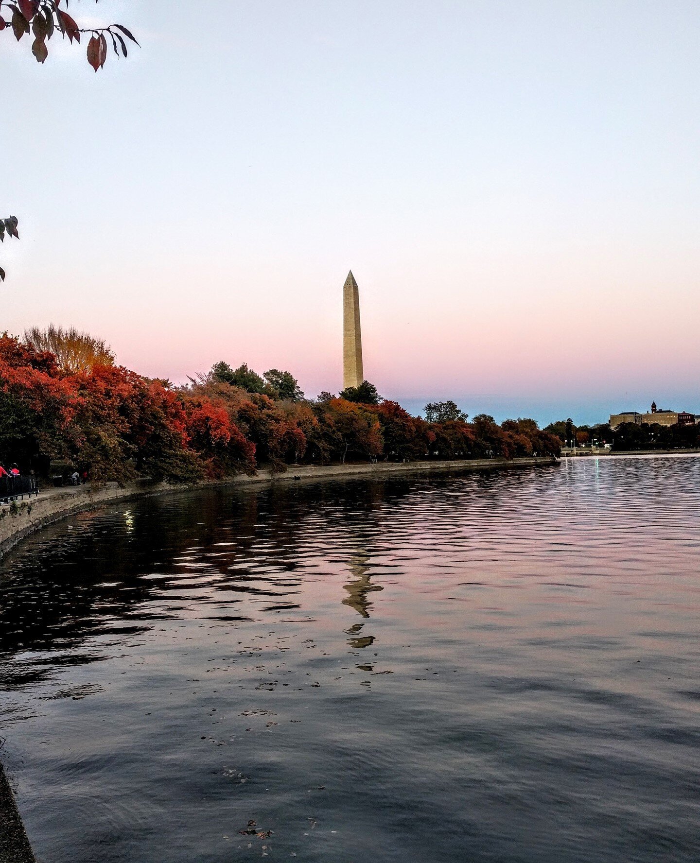 When #FallFoliage meets the #WashingtonMonument.⁠
⁠
Follow my @Journeyto1000Cities!⁠
⁠
--⁠
⁠
#loveva #blueridgemoments #visualsofearth #folkscenery #teampixel #visitwashingtondc #amongthewild #awakethesoul #fallvibes #voyaged #virginiaisbeautiful #vi