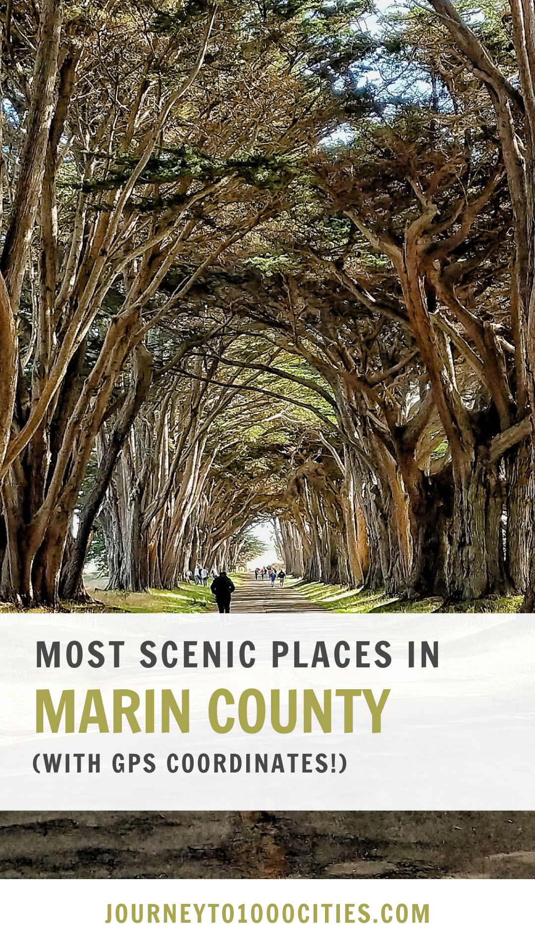 Most Instagrammable Spots in Marin County, SF Bay Area