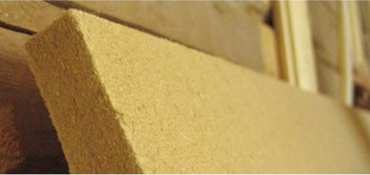 Lion Softboard