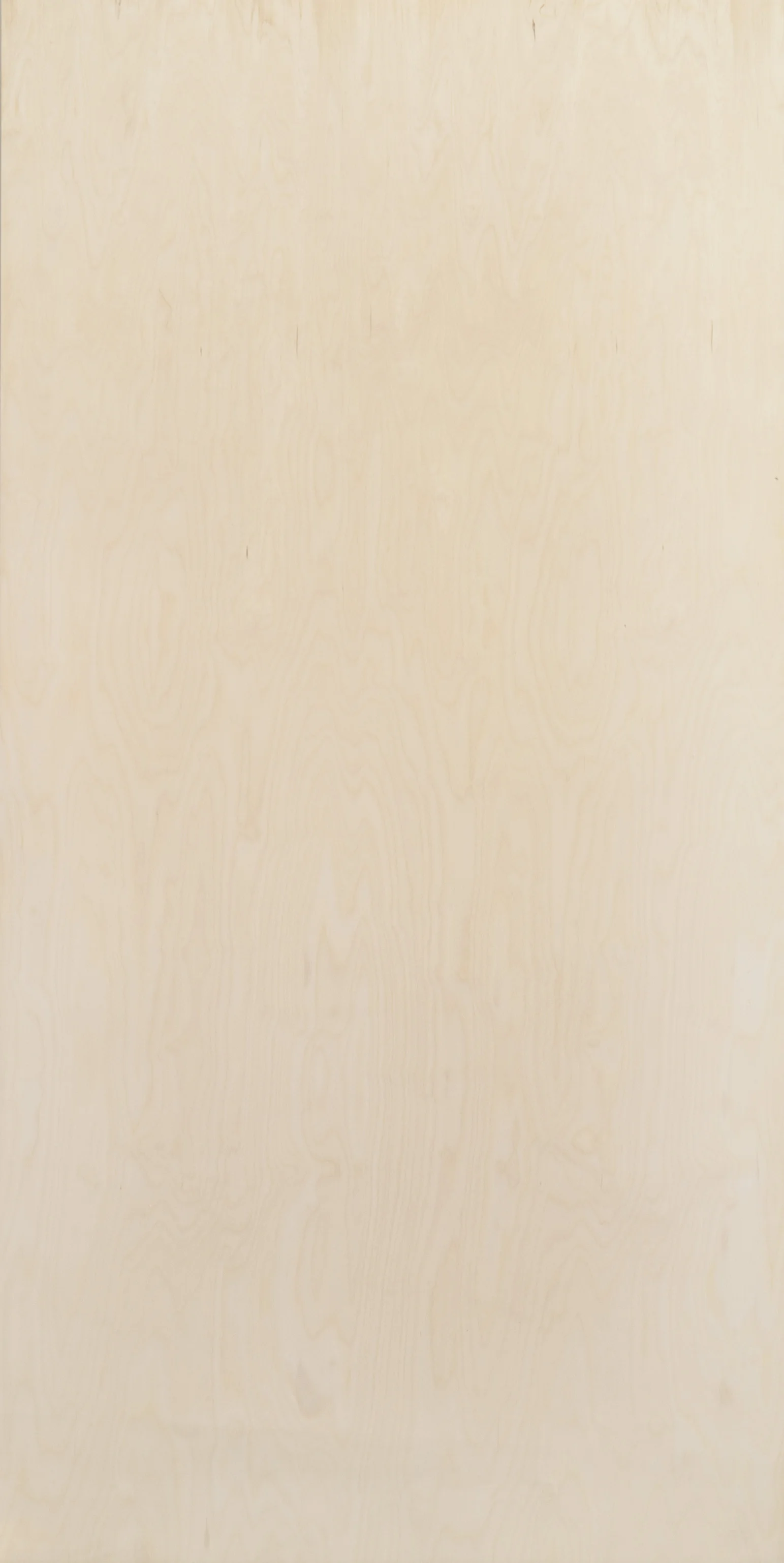 Birch-Select.jpg