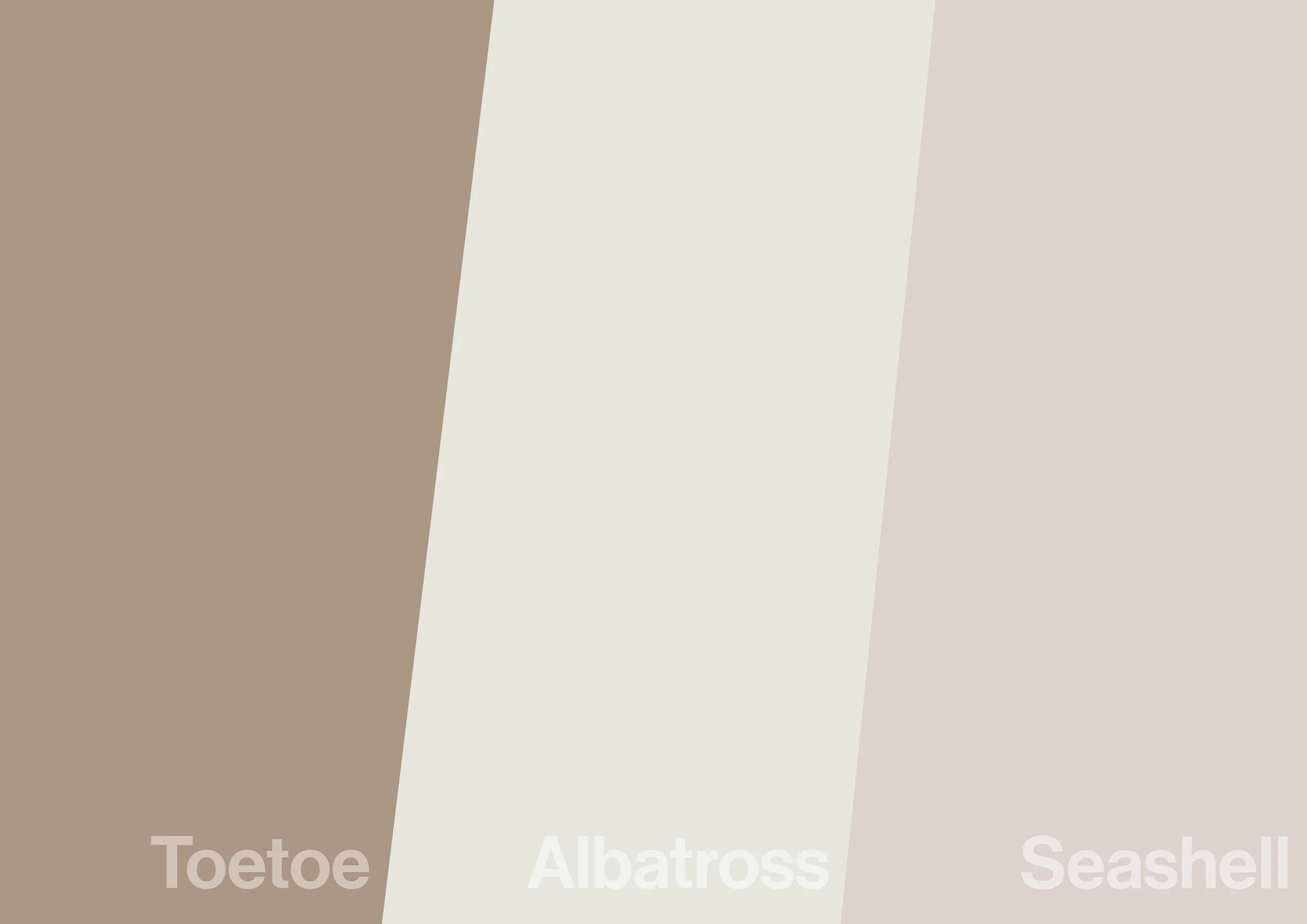 Create-HPL_Albatross-ToeToe-Seashell.jpg