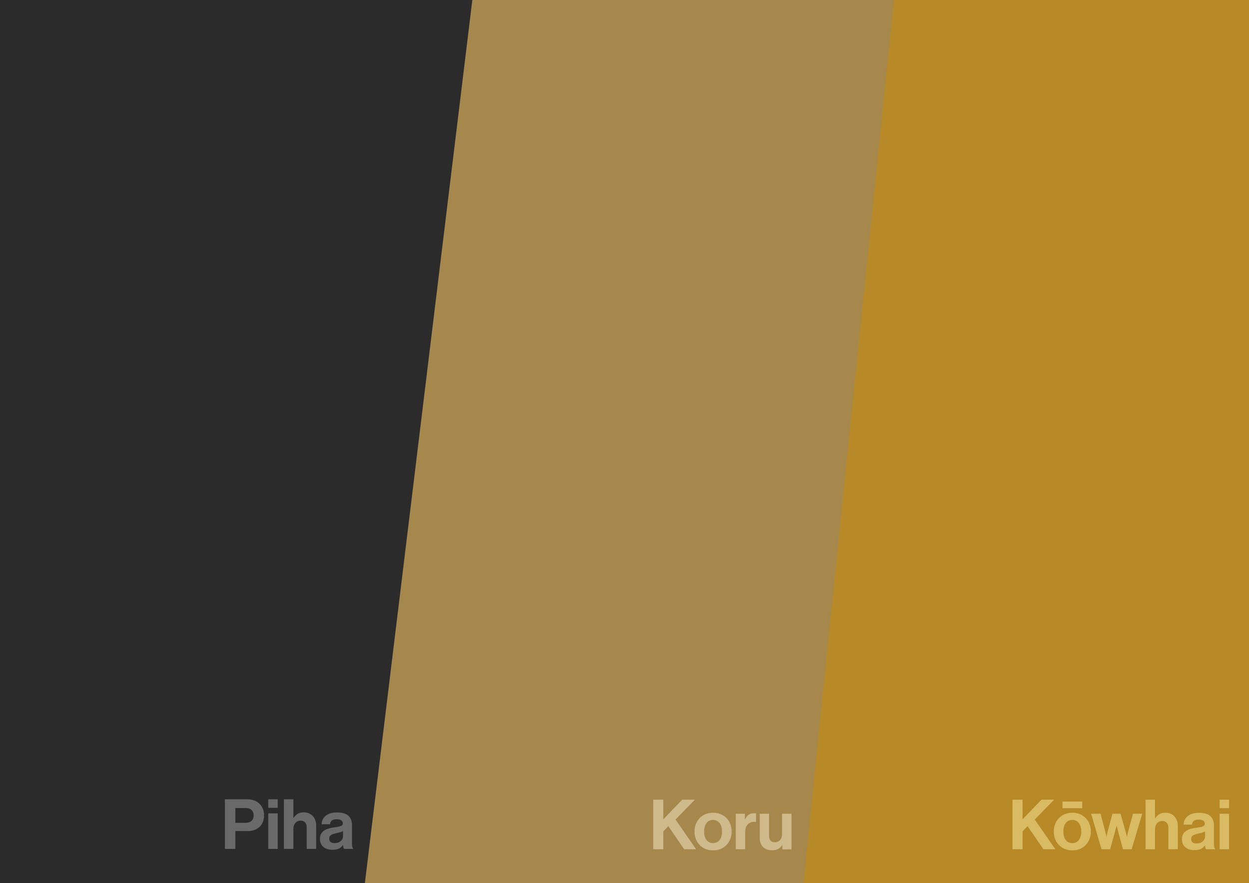Create-HPL_Piha-Koru-Kowhai.jpg
