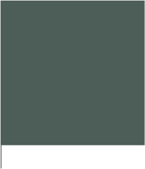 Forest Green.png
