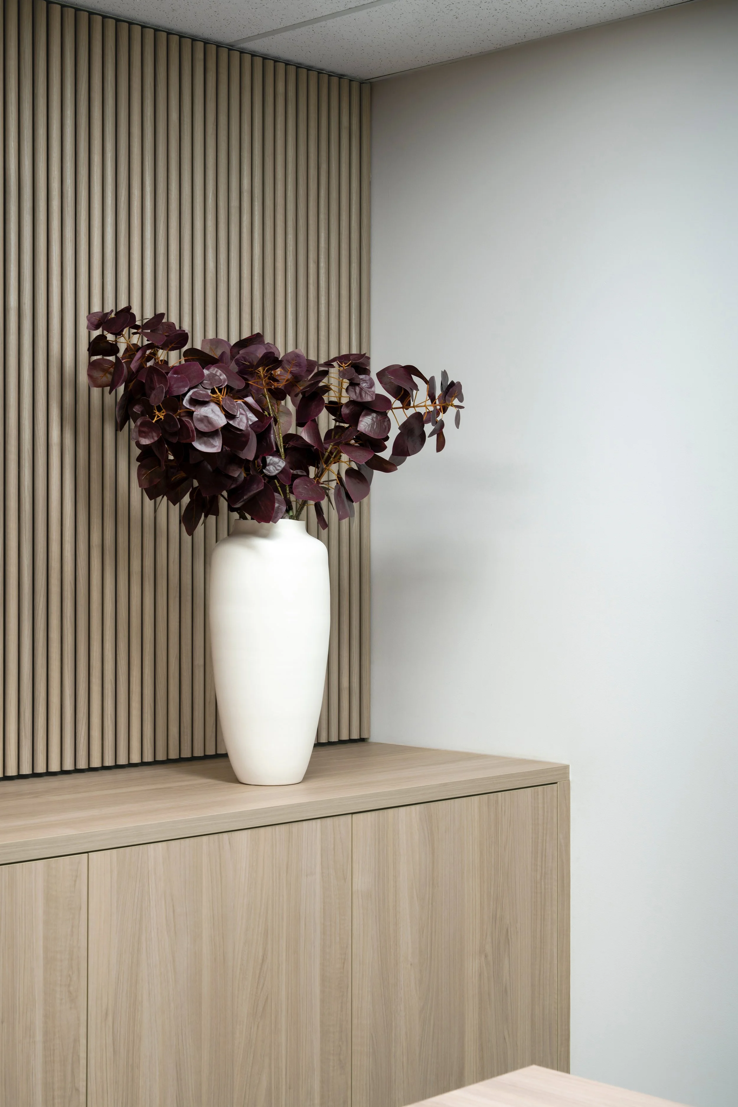 Boardroom_Modulo Acoustic_Dome_Earlwood.jpg