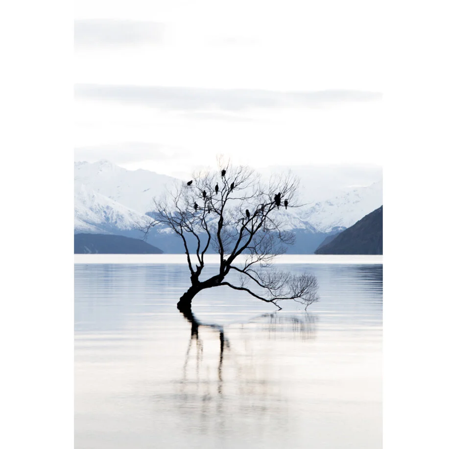 'That Wanaka Tree' Photographic print