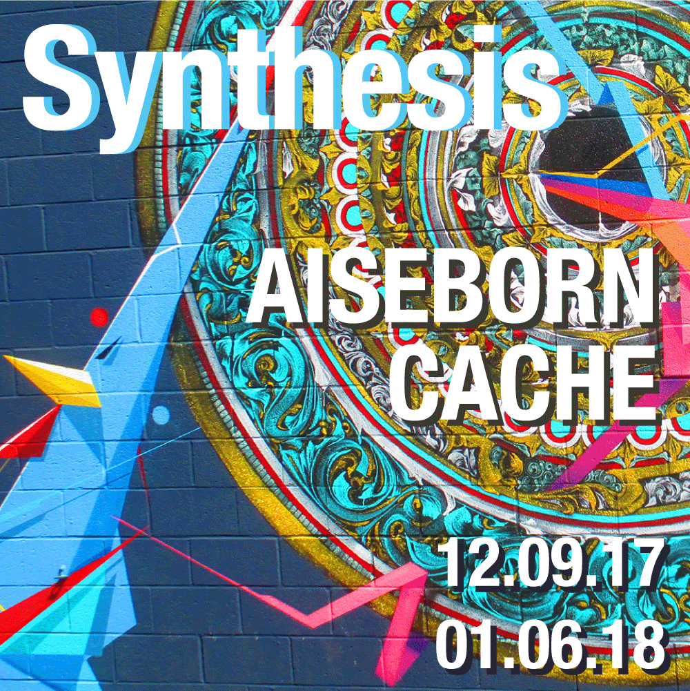 Synthesis, the collaborative artworks of AsieBorn x Cache