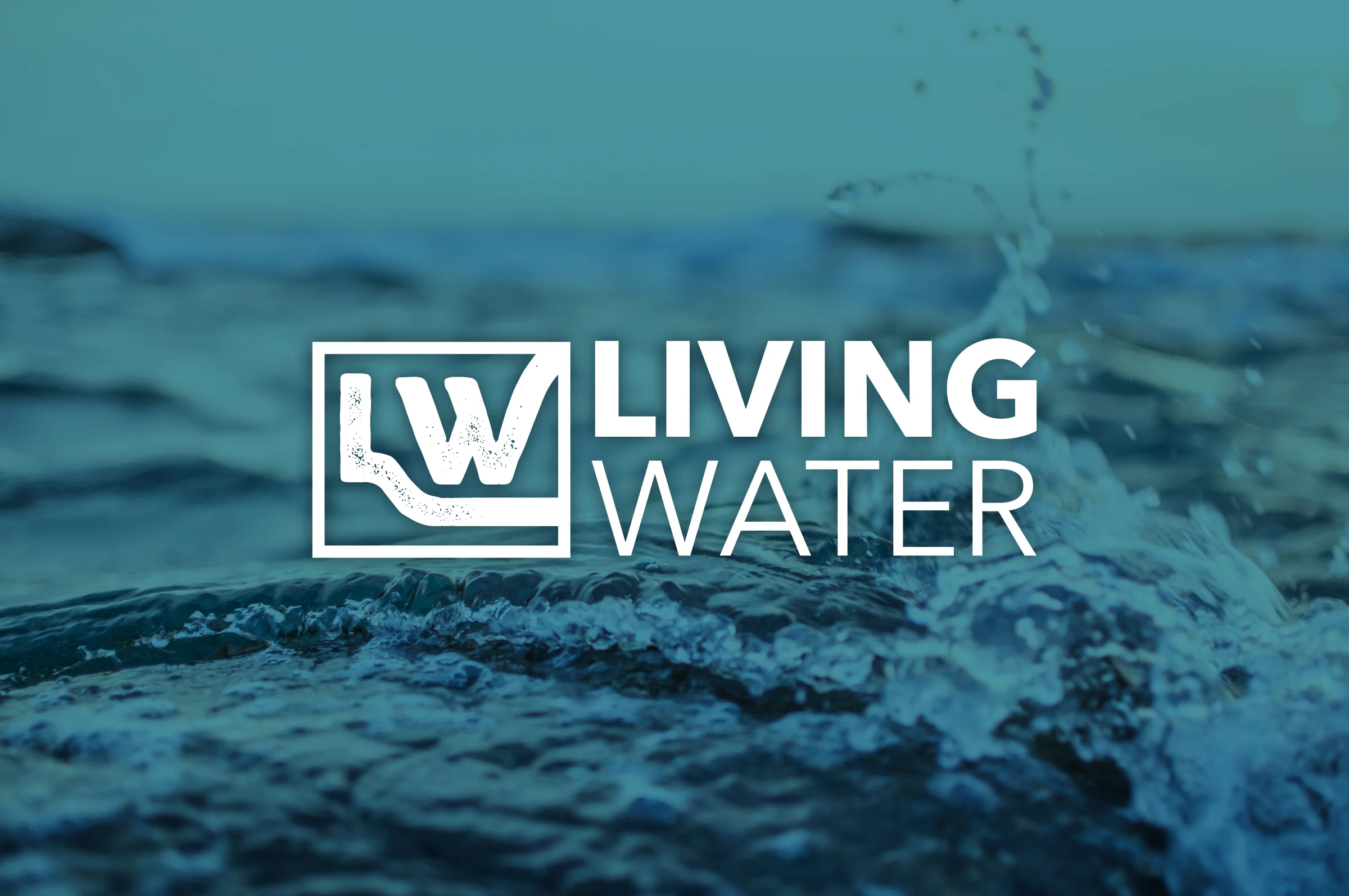 WebsiteBanner_LW2.jpg
