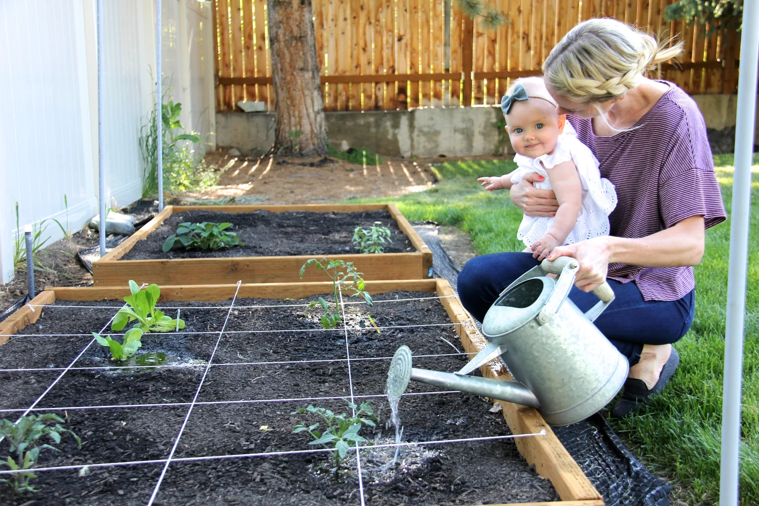 How to build a grow box for less than $100 — MOMSTRONG