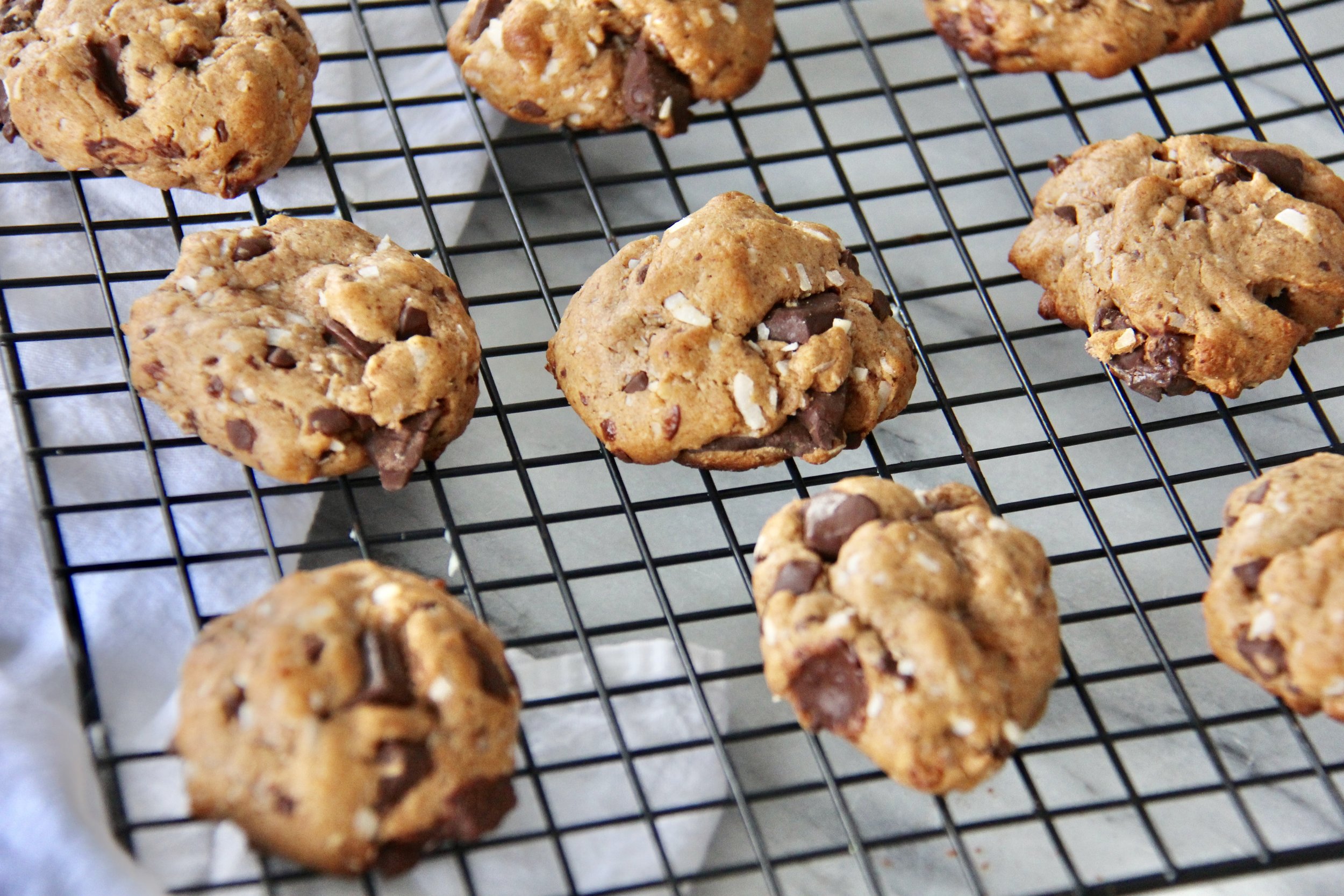 Chocolate Chip Coconut Cookies