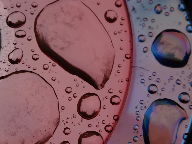 water drops.jpg