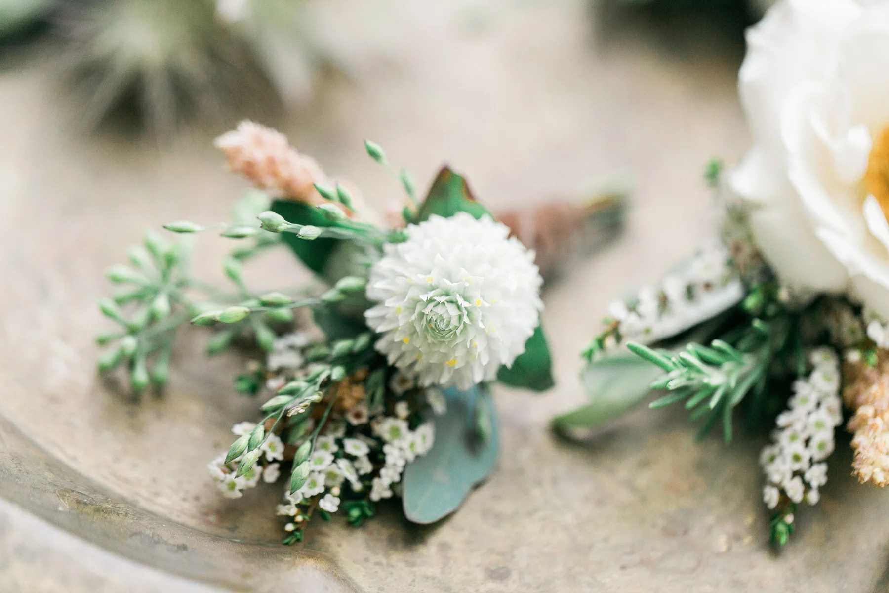 Catalina-View-Gardens-Wedding-05