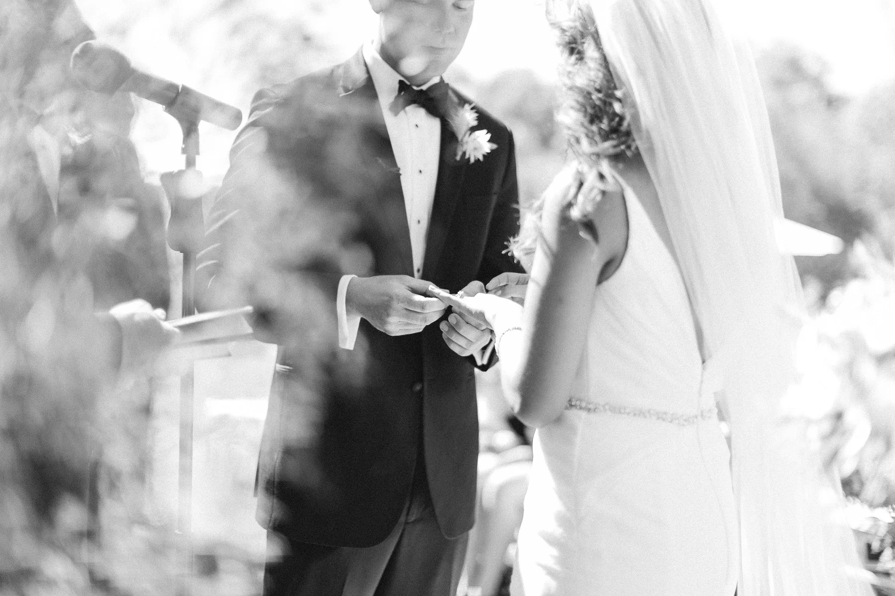 Catalina-View-Gardens-Wedding-27
