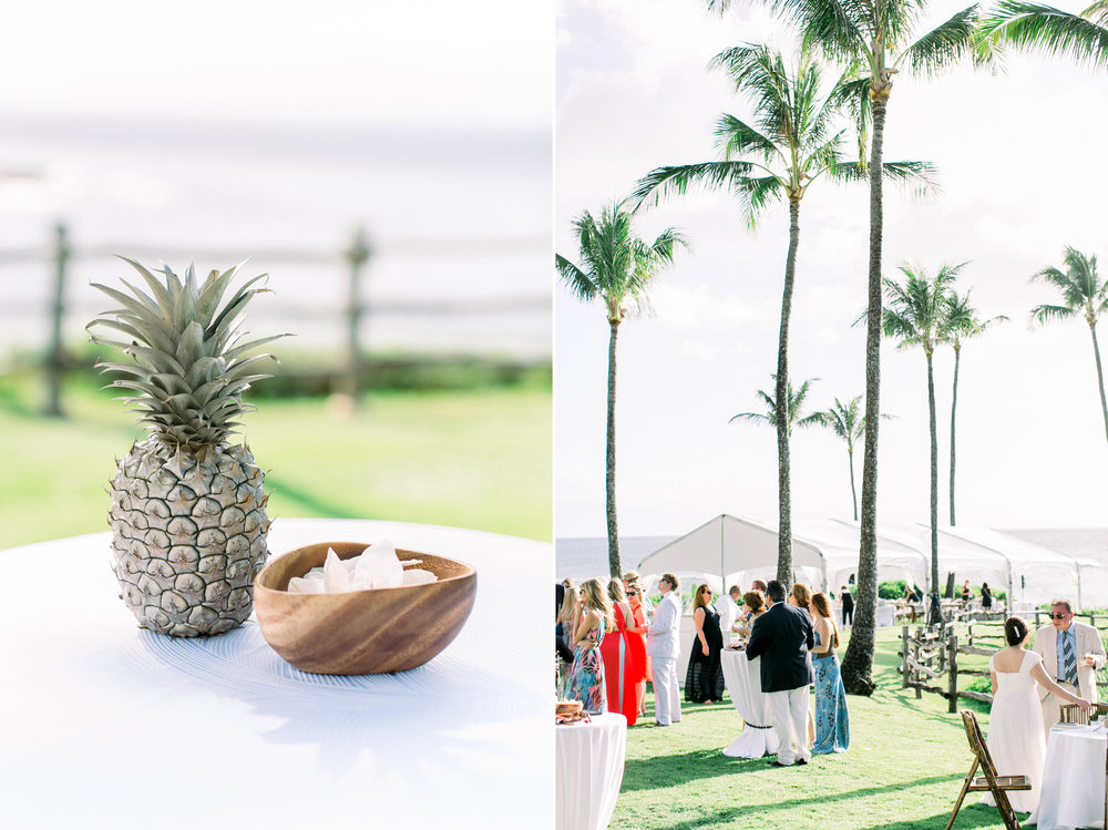 Maui-Fine-Art-Wedding-Photographer-18.JPG