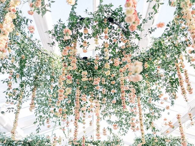 This floral design by @blushbotanicals was just heavenly 😍 ⠀⠀⠀⠀⠀⠀⠀⠀⠀
Photography: @the_grovers I Planner: @detailsdefined I Florals: @blushbotanicals I Venue: @theinnatrsf I Production: @hire_elegance I Lighting: @petersoneventlighting | Editing: @n