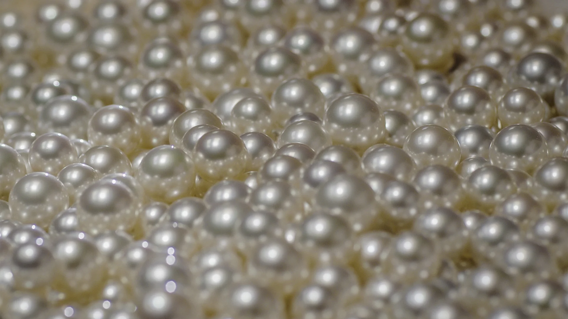 63497_SecretLifeOfPearls.jpg