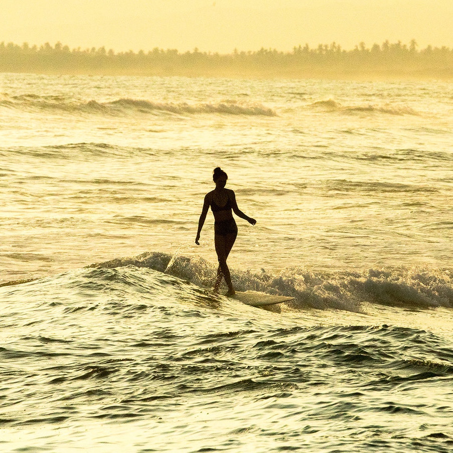 Collaging the Line | Sanuk