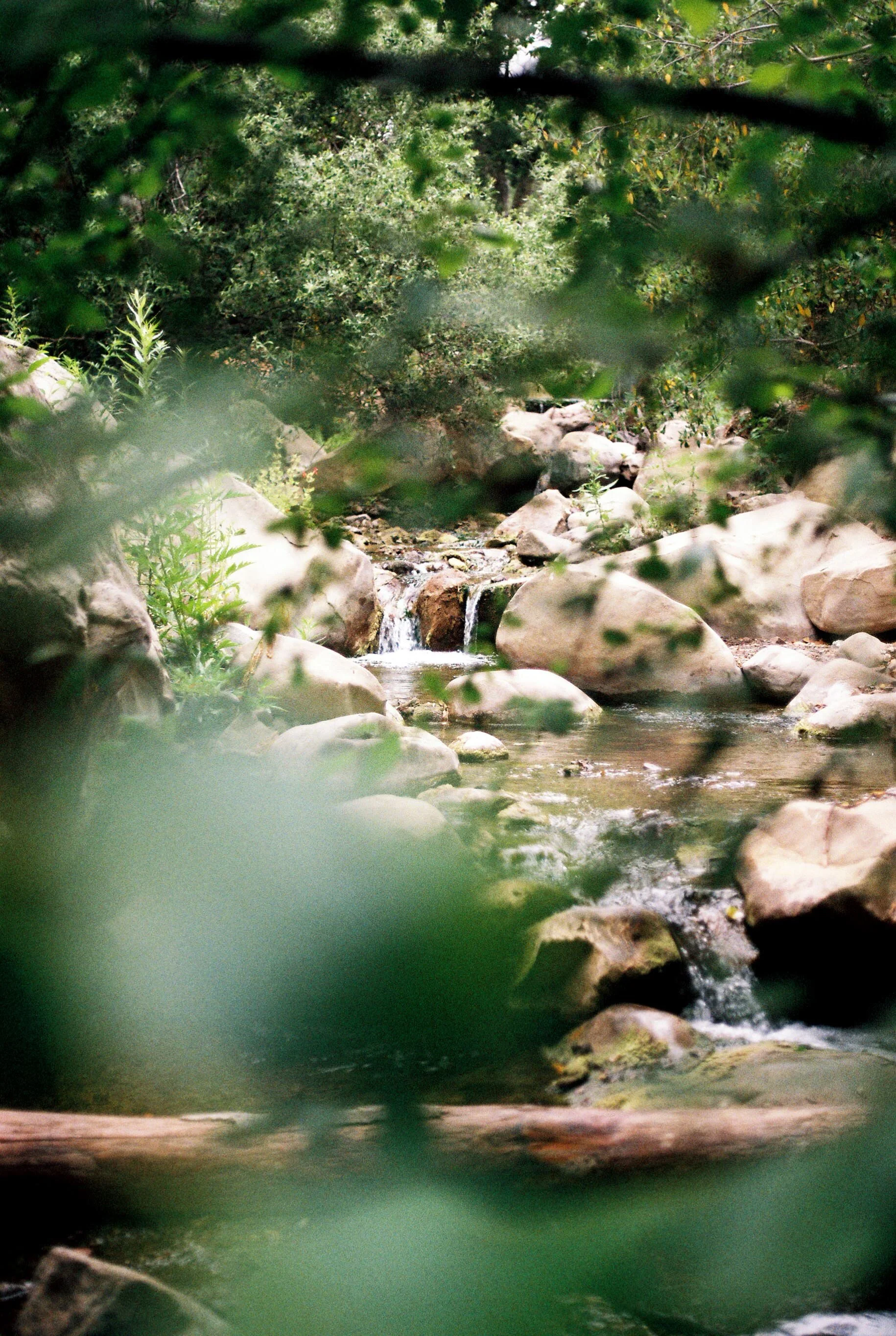matilija creek weekend
