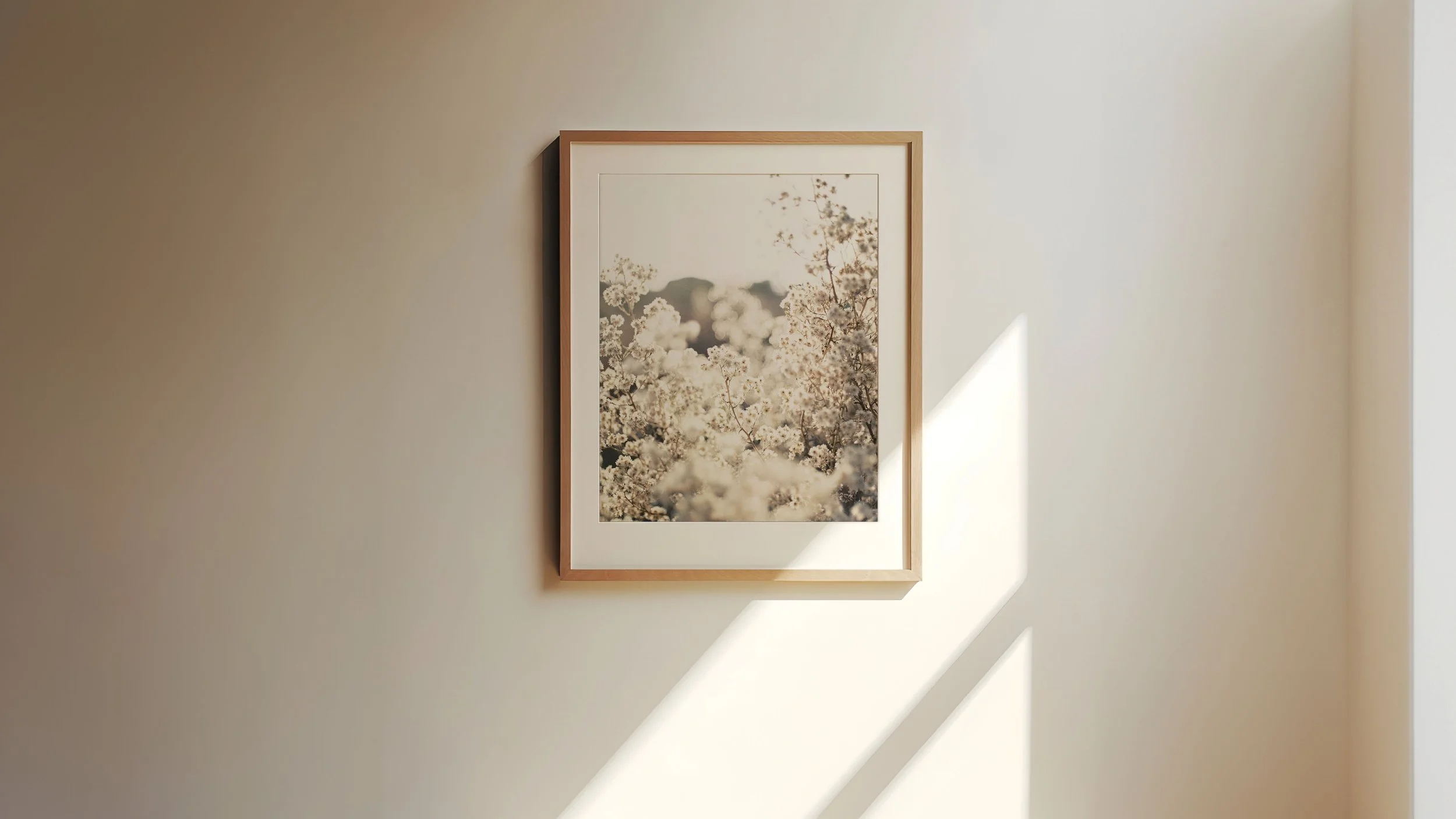 marshmallow-luff-8x10.jpg