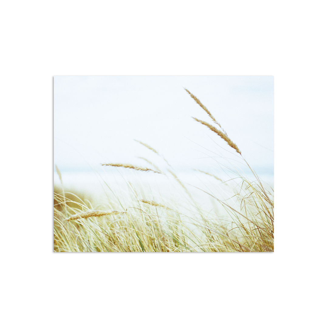 corinarose-aloft.png