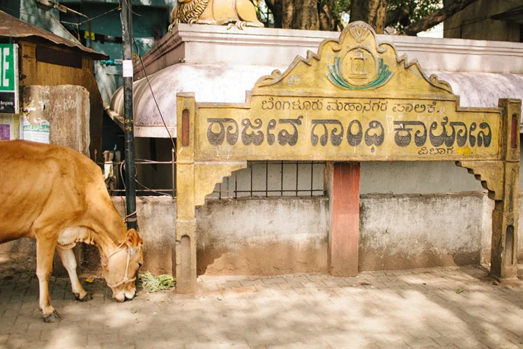India_012