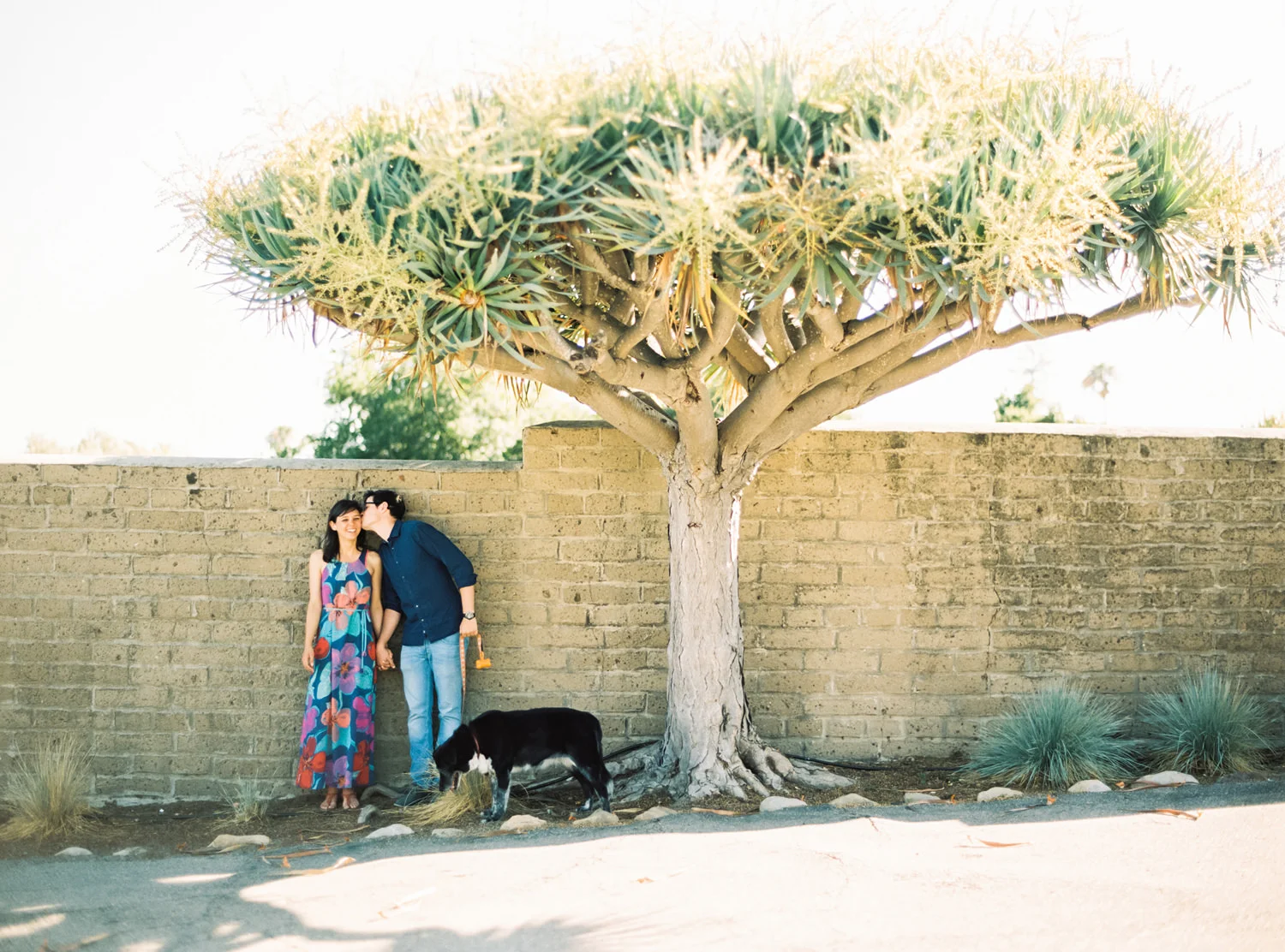 lauren_will_engagement_01