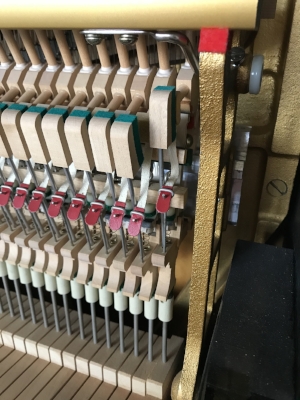felt, and wood, and springs, oh my!