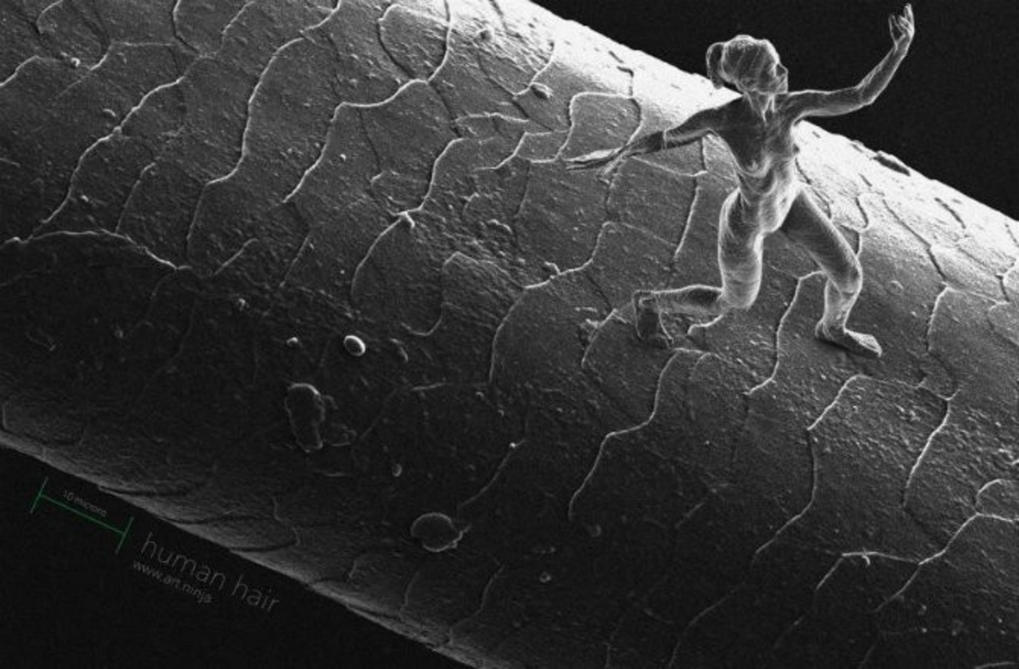 Artist and engineer Jonty Hurwitz has created a series of nanoscale sculptures so small that they can only be viewed via electron microscope. More info.