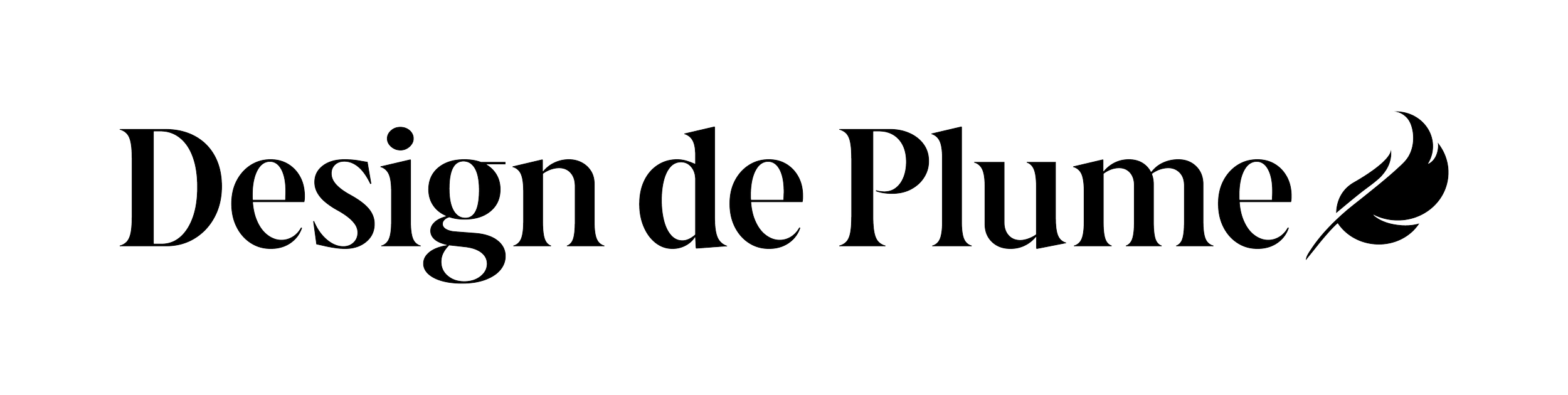 DDP-logo-horizontal-black.png