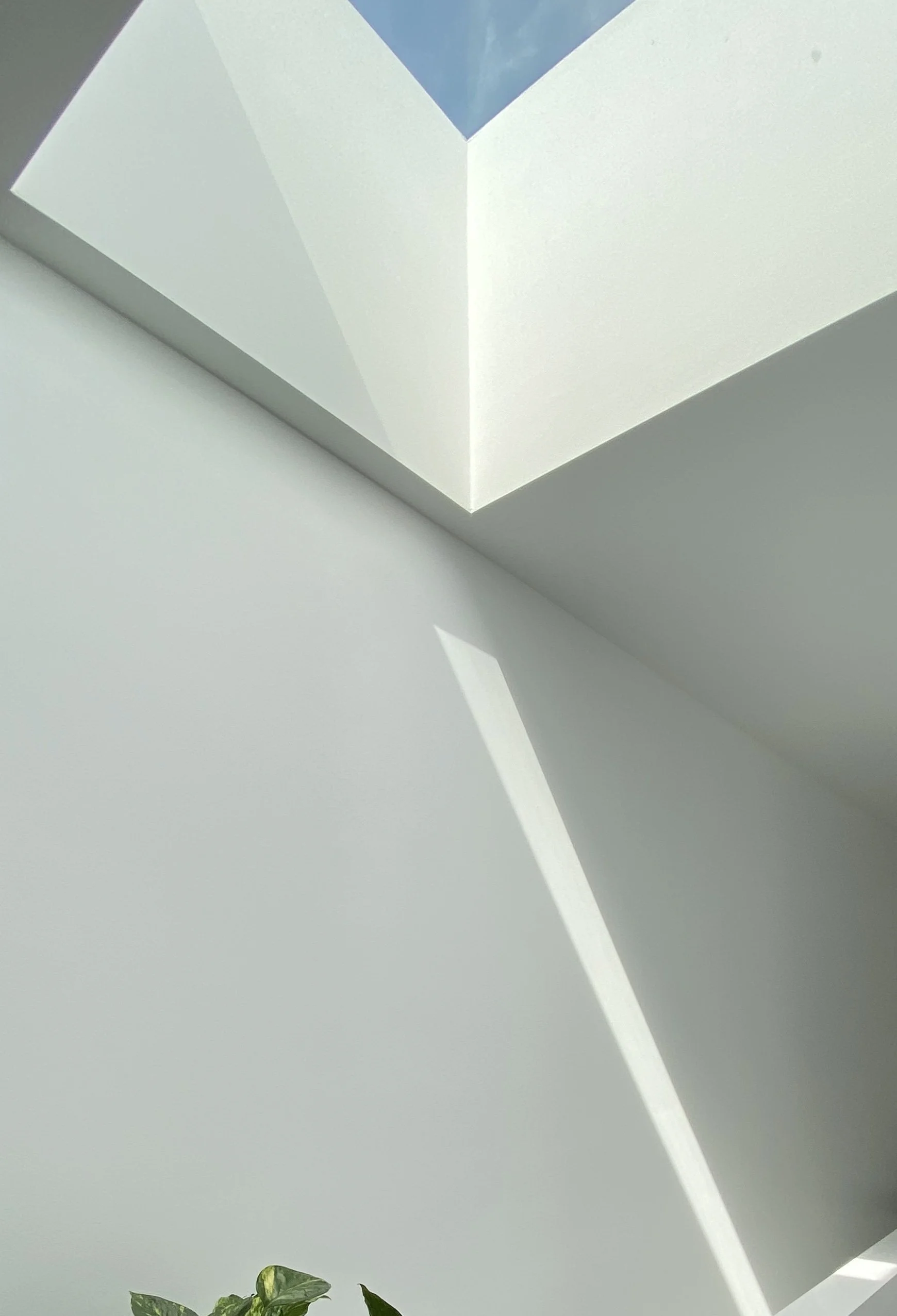 skylight.jpg