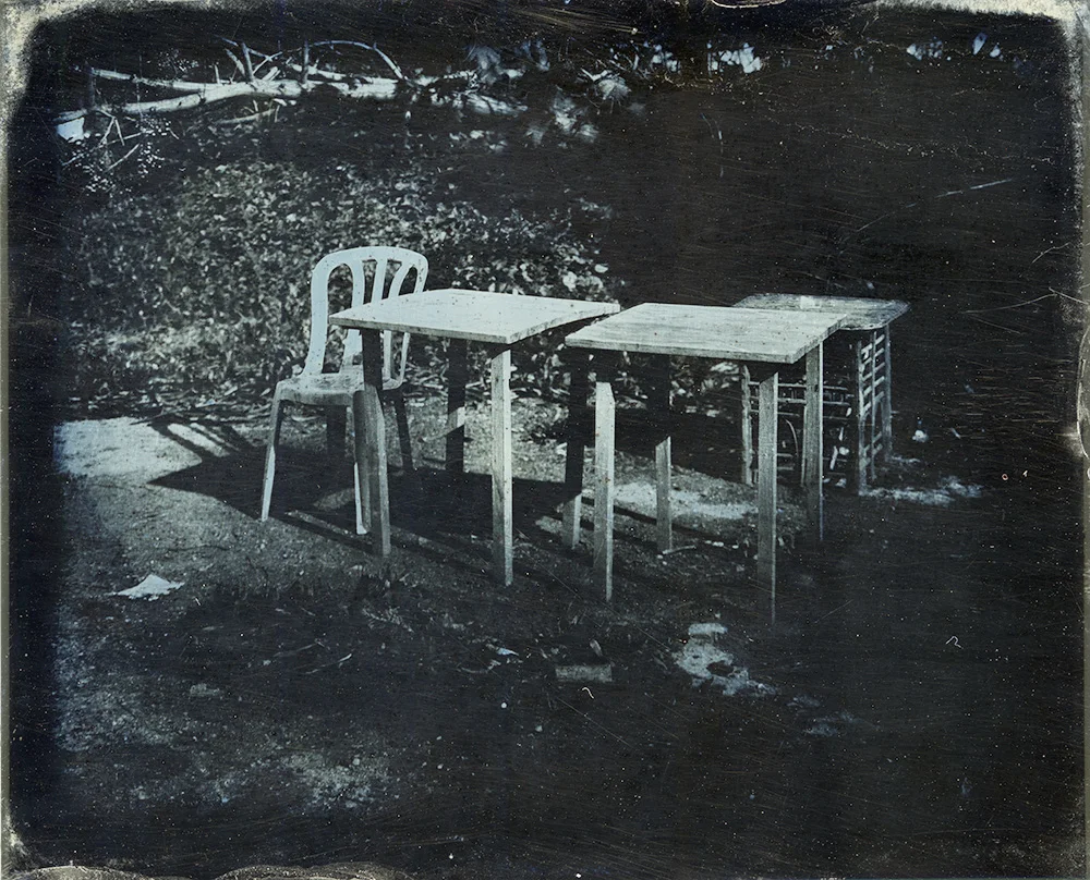 Backyard II