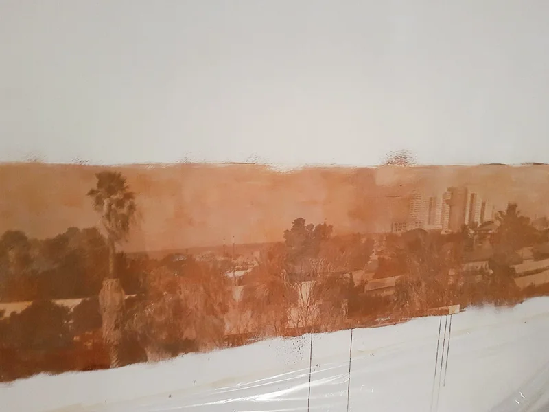the image before fixing