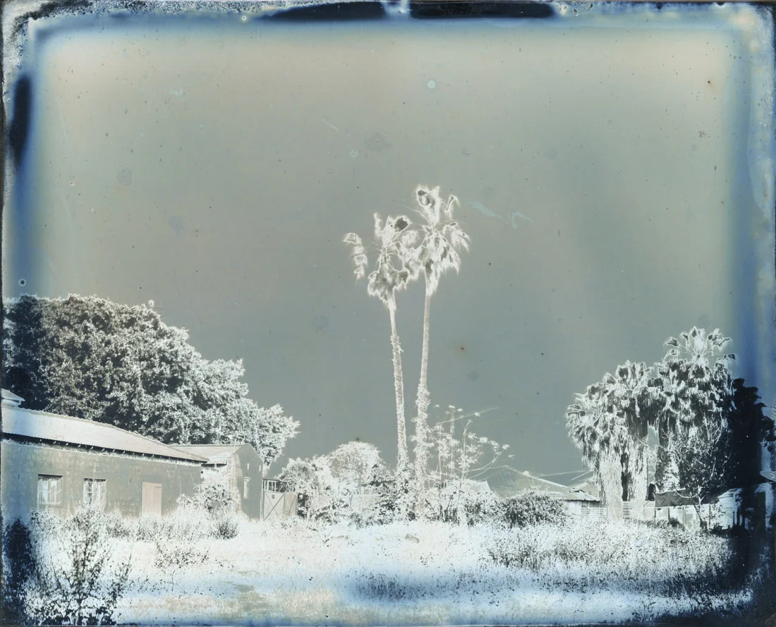 img004.jpg