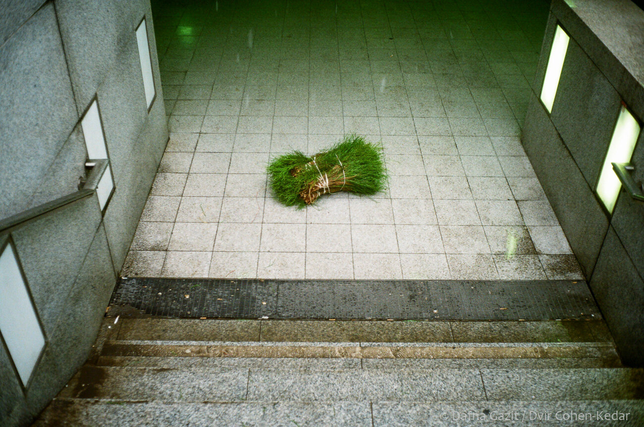 Abandoned, 2018, Berlin, Germany, Ricoh FF1, Kodak Gold 200