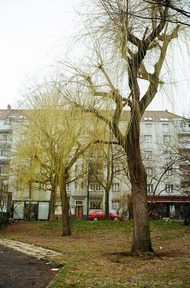 Berlin, Germany, 2018, Ricoh FF1, Kodak Gold 200