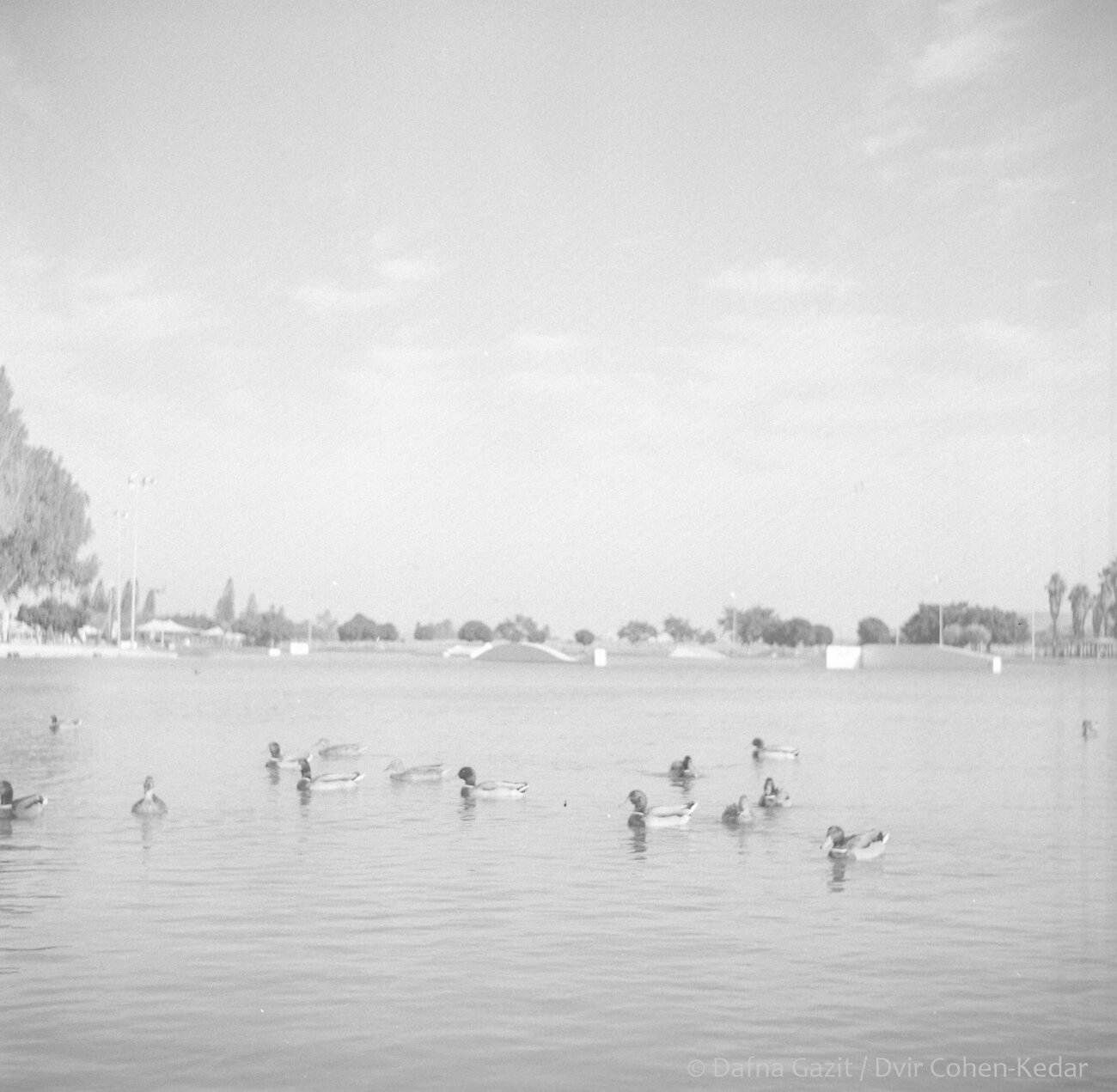 Yom Kipur, Tel-Aviv, Israel, 2016, Lubitel,Ilford Hp5 plus 