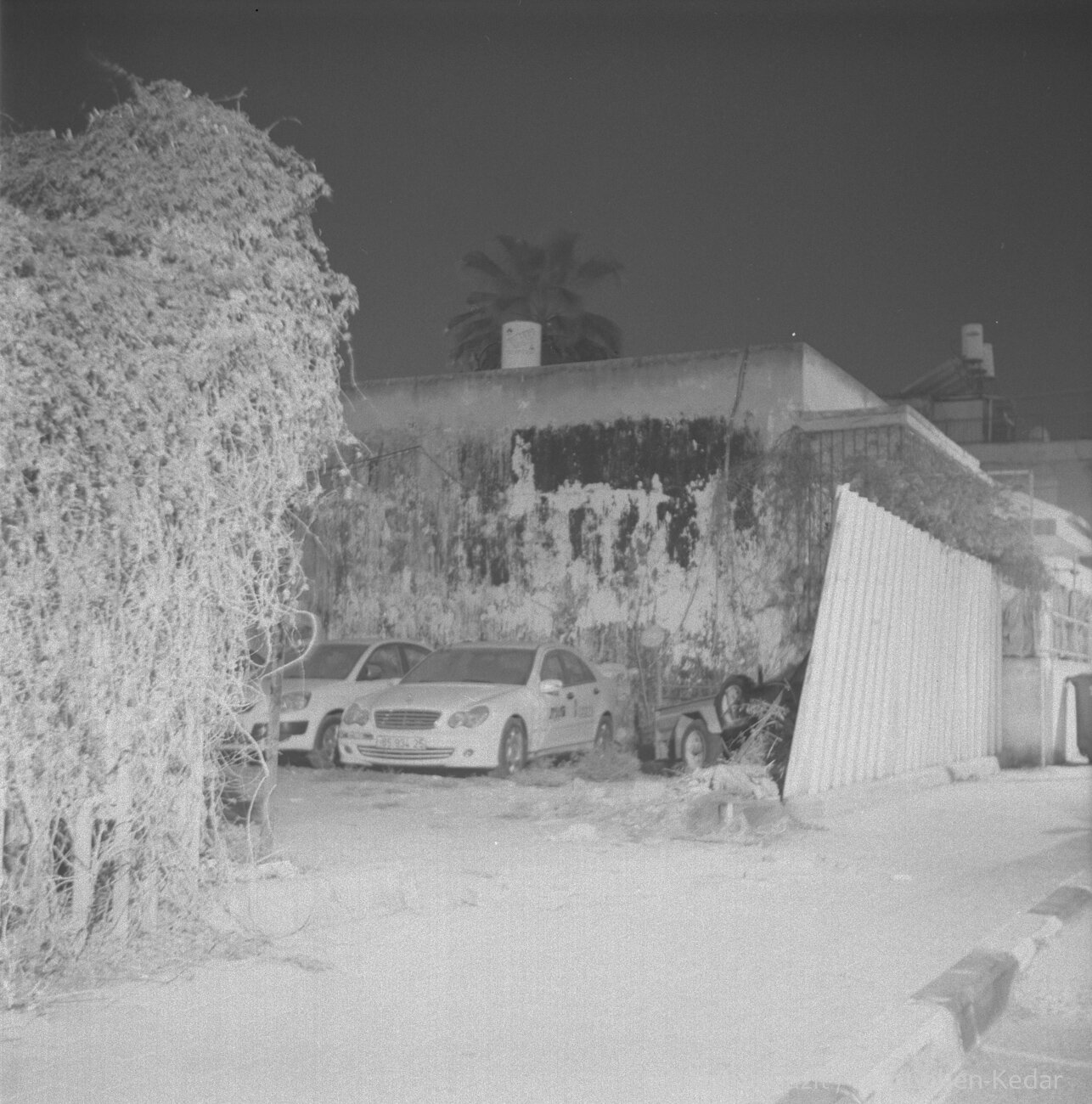 Yom Kipur, Tel-Aviv, Israel, 2016, Lubitel, Ilford Hp5 plus 