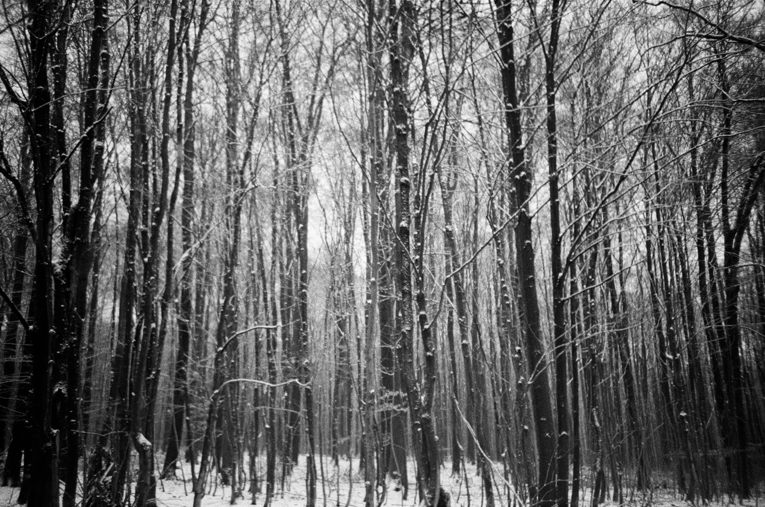 Barntrup, Germany, 2026, Lomo lca+, Ilford 400 (2007)