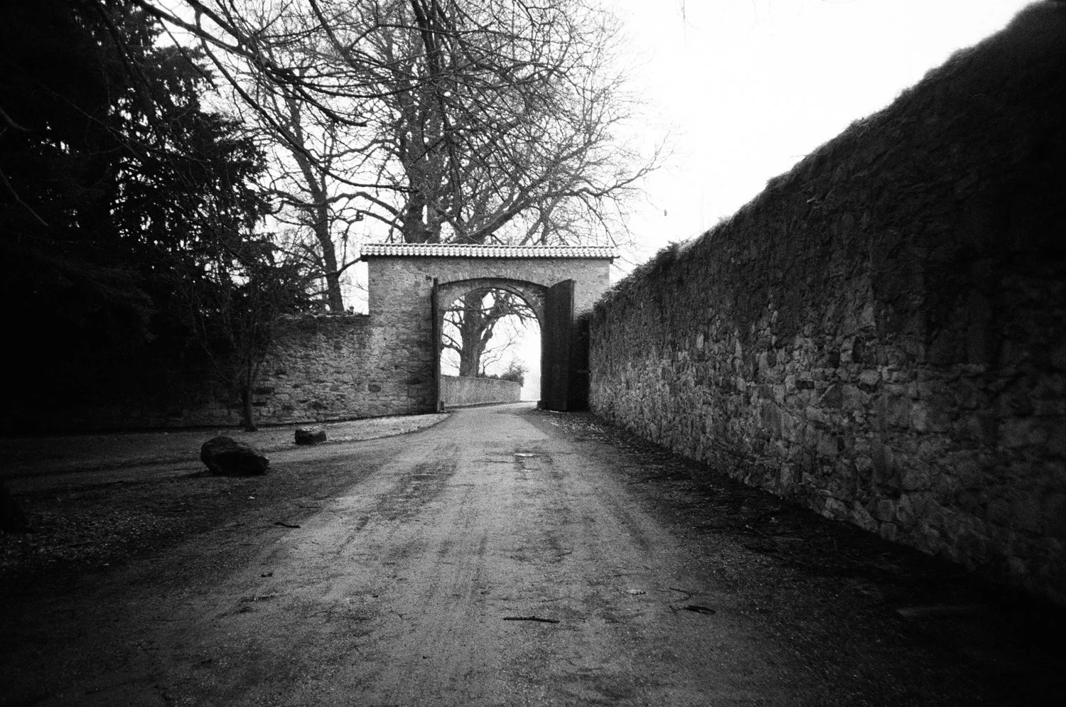 Barntrup, Germany, 2026, Lomo lca+, Ilford 400 (2007)