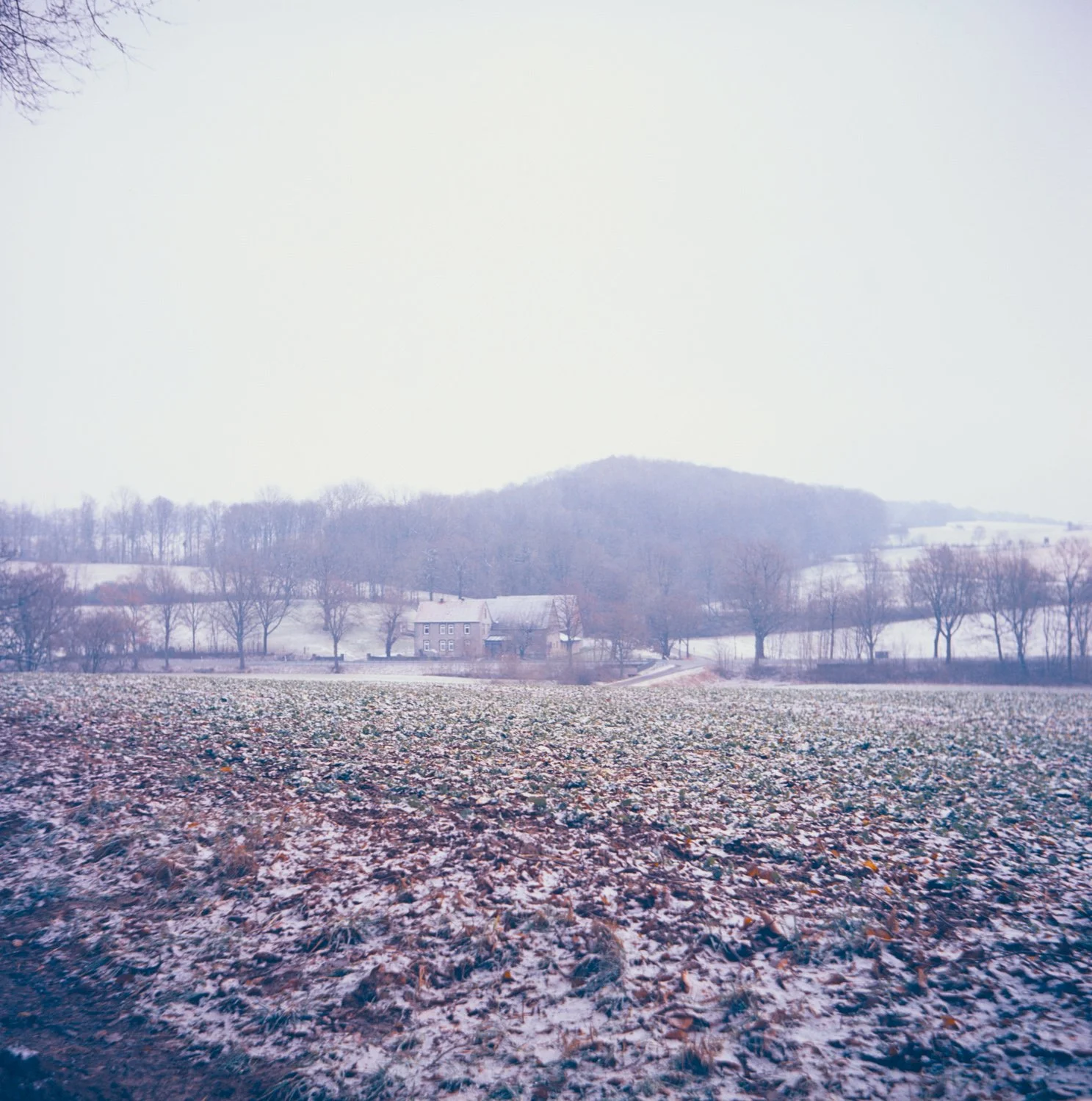 Barntrup, Germany, 2026, Lubitel 166B, kodak E100VS