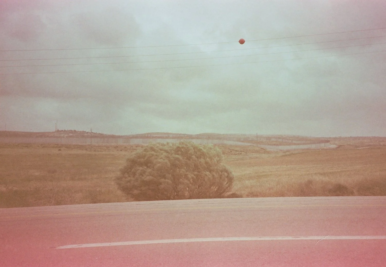  358 Road. Israel, 2022, Lomo, Fujicolor superia