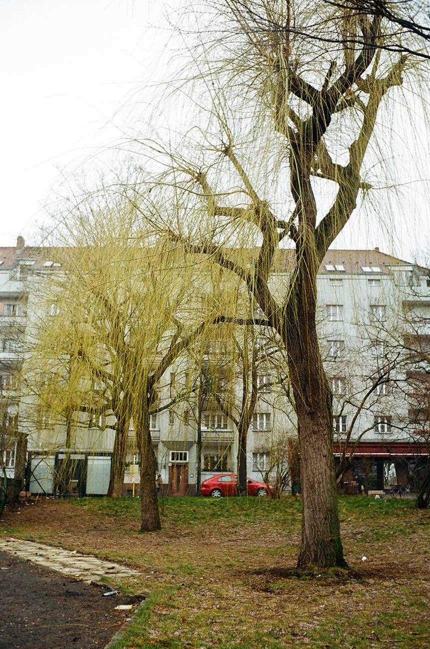 Berlin, Germany, 2018, Ricoh FF1, Kodak Gold 200