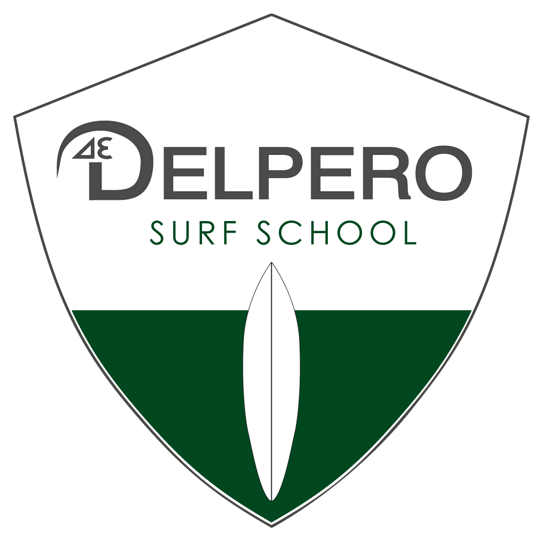 DELPERO SURF FORMULE SCHOOL - LOGO.png