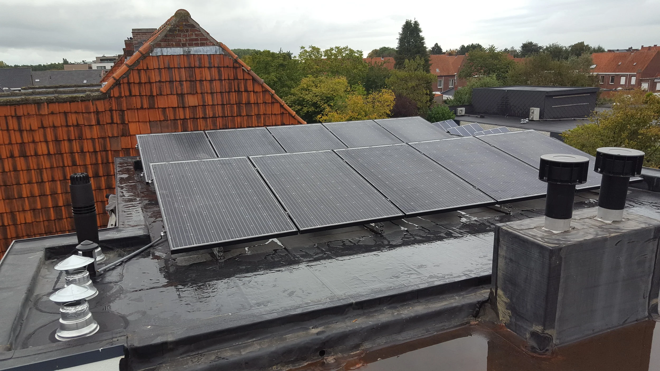 Emely Cocquyt Foto Panelen.jpg