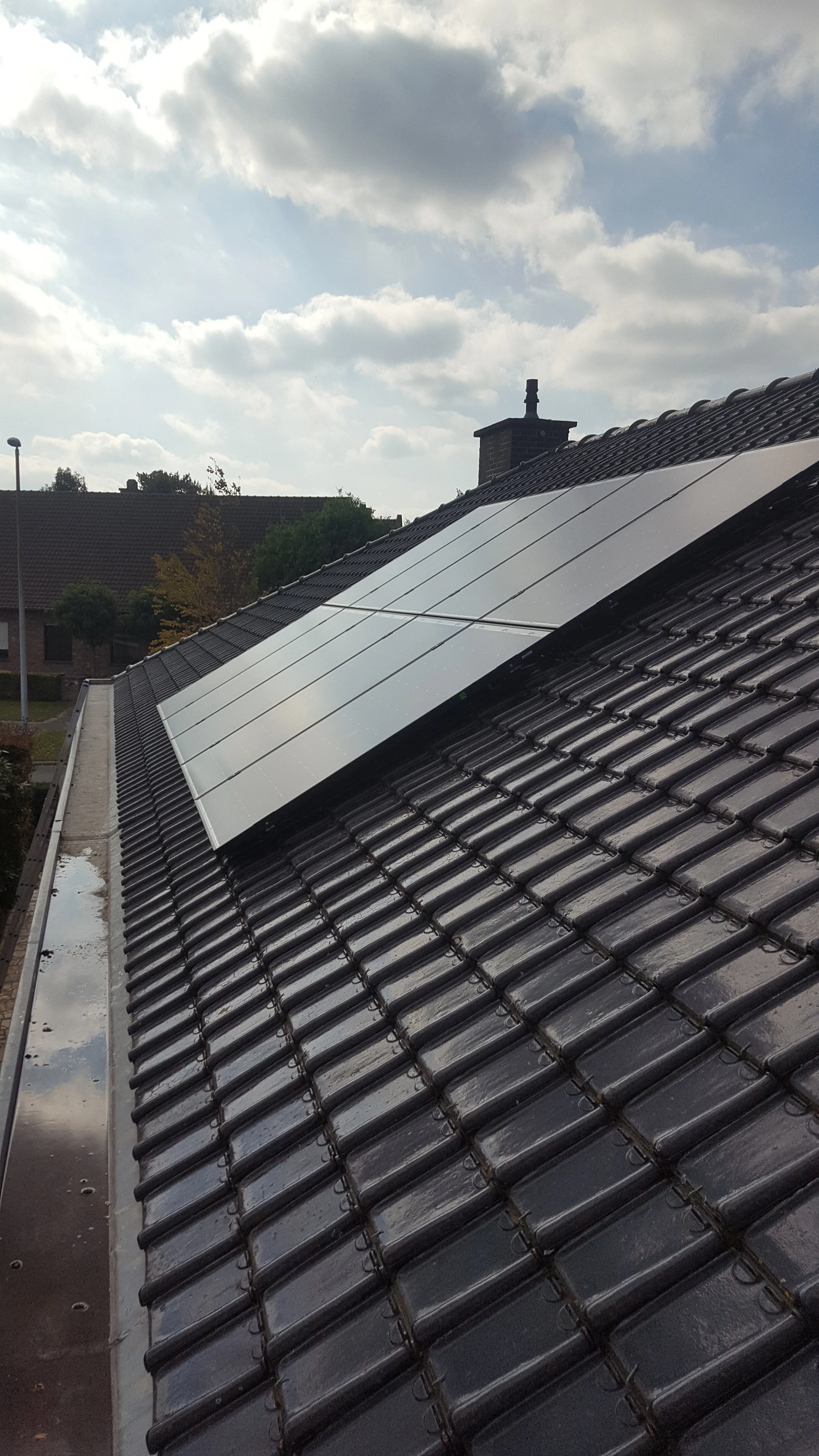Daniel Baert Foto Panelen.jpg