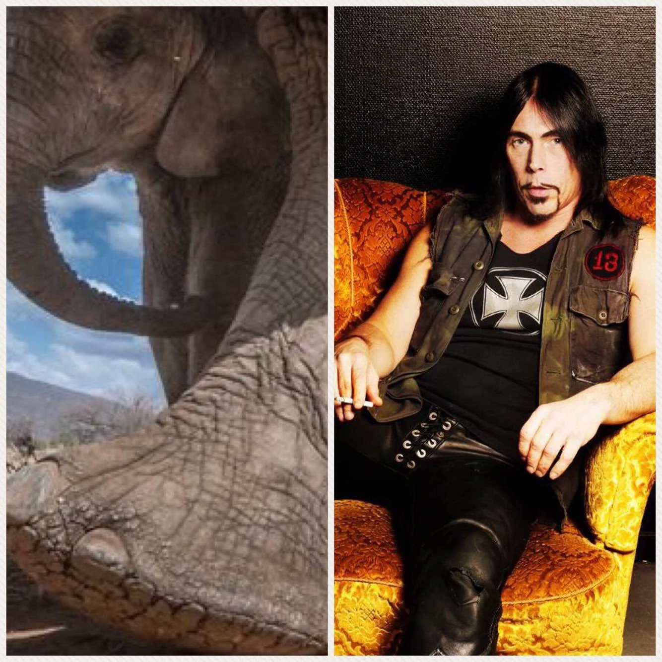 46. Power Tripping Elephant Marching Riffs episode artwork