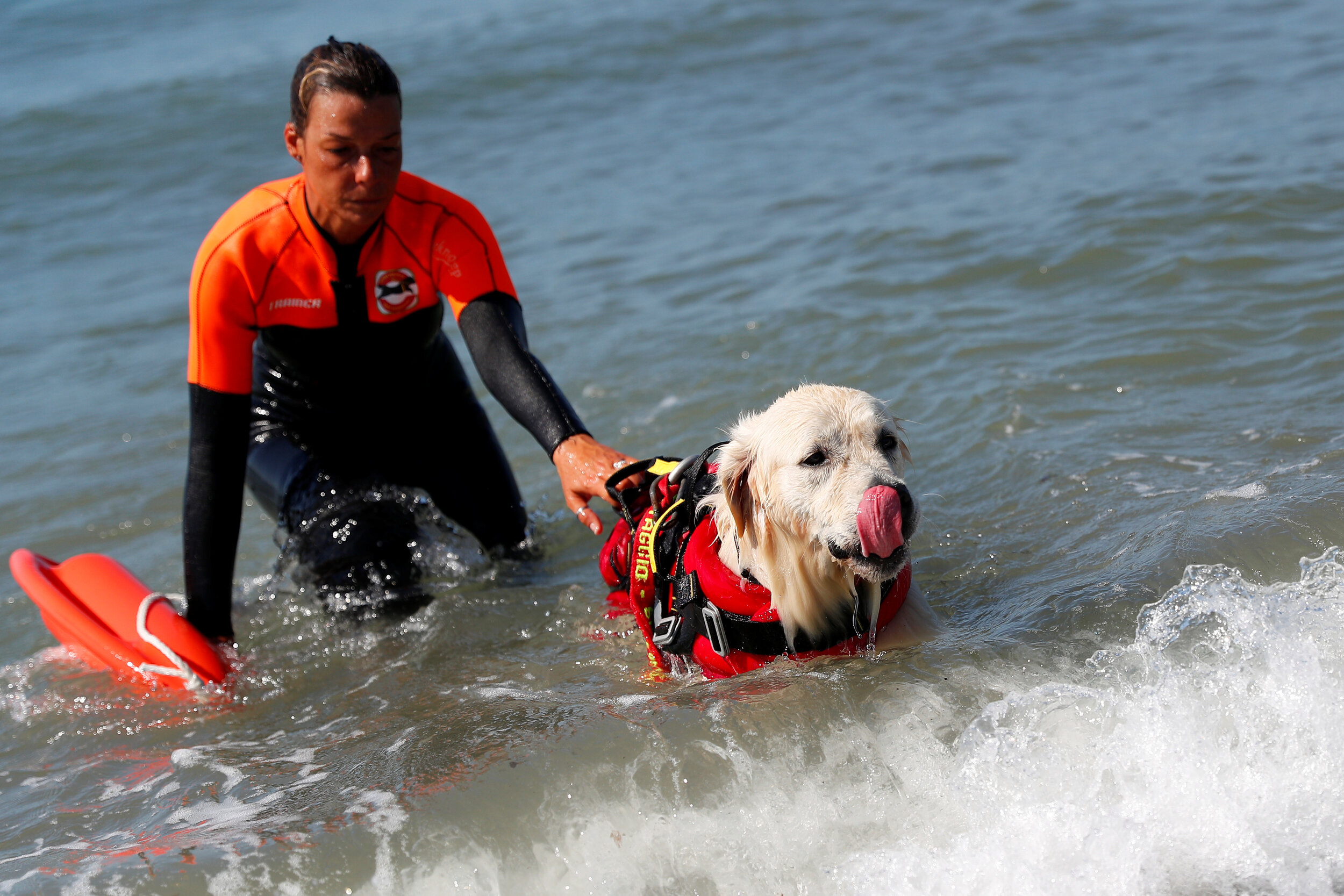  A member of an all-female group of canine rescuers from the Italian School of Rescue Dogs (La Scuola Italiana Cani Salvataggio) attends a training session with her dog before patrolling the beach to ensure swimmers can enjoy their time at the sea in