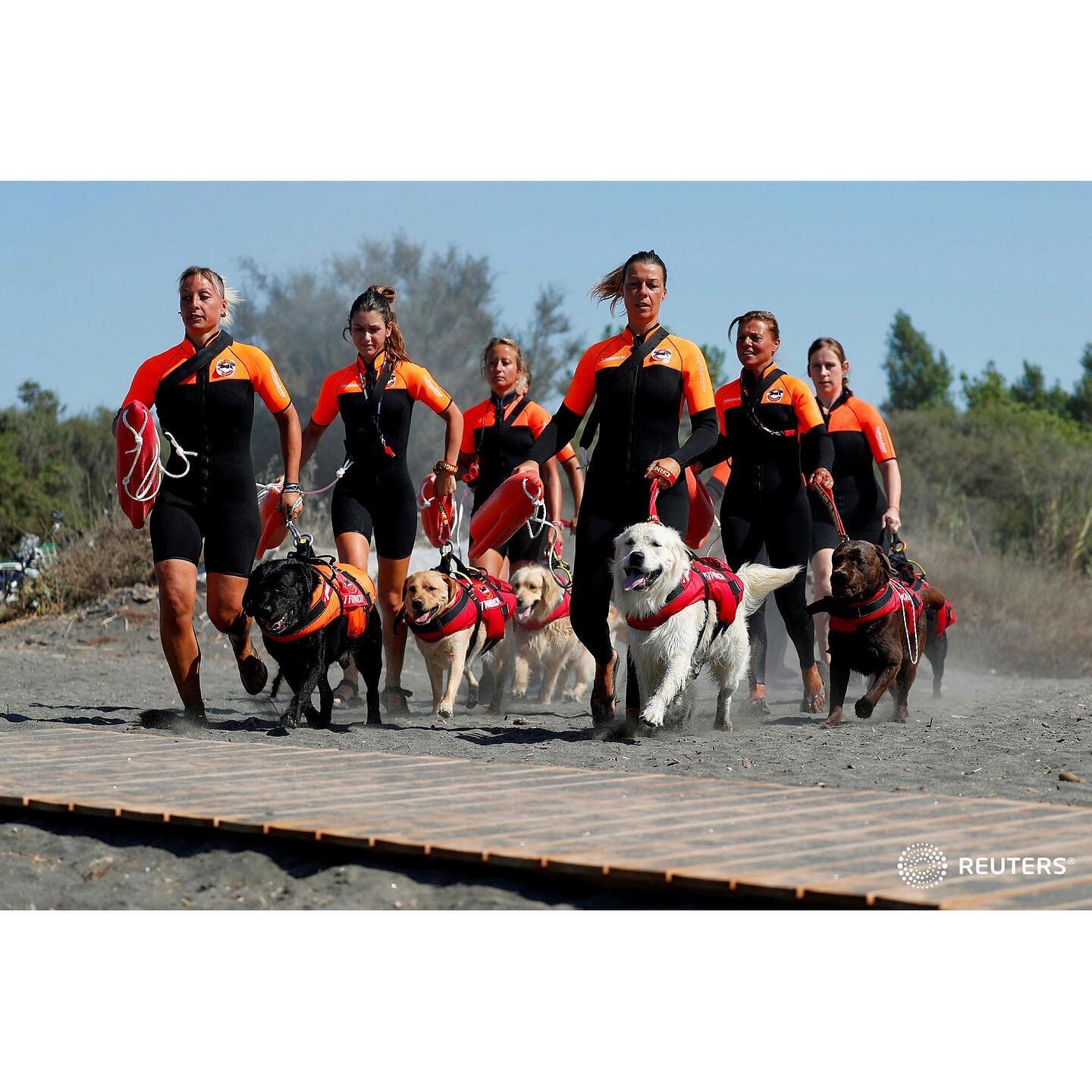 An all-female group of canine rescuers from the Italian School of Rescue Dogs (La Scuola Italiana Cani Salvataggio) attend a training session with their dogs before patrolling the beach to ensure swimmers can enjoy their time at the sea in safety, in